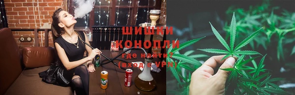 гидра Алексеевка