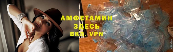 гидра Алексеевка