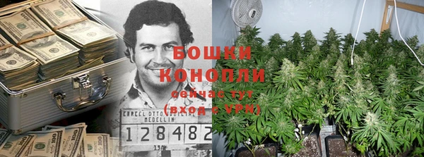 гидра Алексеевка