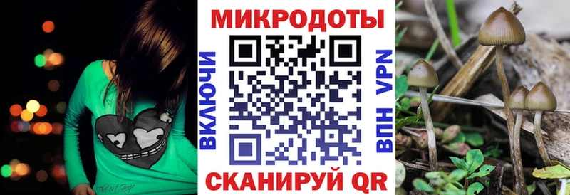 магазин  наркотиков  Сортавала  Галлюциногенные грибы мицелий 