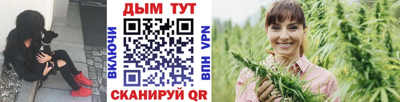 как найти   Сортавала  KRAKEN как зайти  Бошки марихуана White Widow 